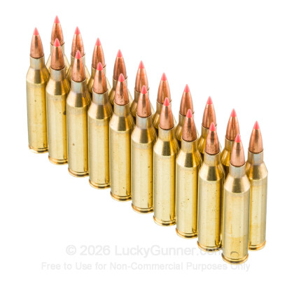 Image 4 of Fiocchi .243 Winchester Ammo