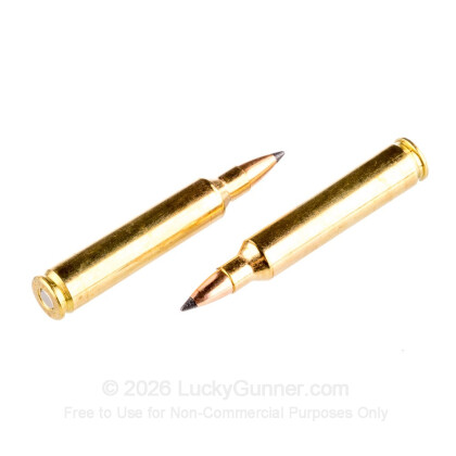 Image 6 of Nosler Ammunition .204 Ruger Ammo