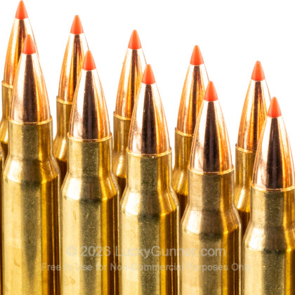 Large image of Premium 308 Ammo For Sale - 125 Grain GMX Ammunition in Stock by Black Hills Gold - 20 Rounds