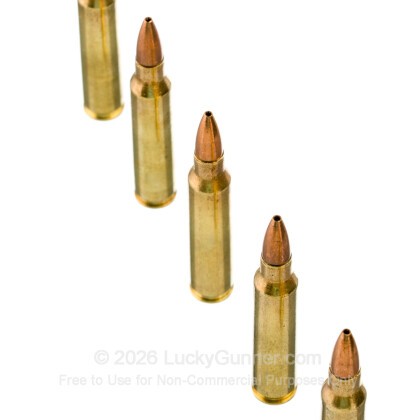 Image 5 of Remington .223 Remington Ammo
