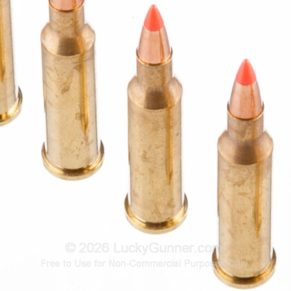 Image 5 of Hornady .17 Hornet Ammo
