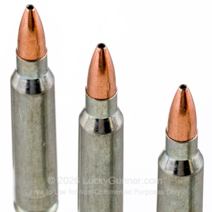 Image 5 of Silver Bear .223 Remington Ammo