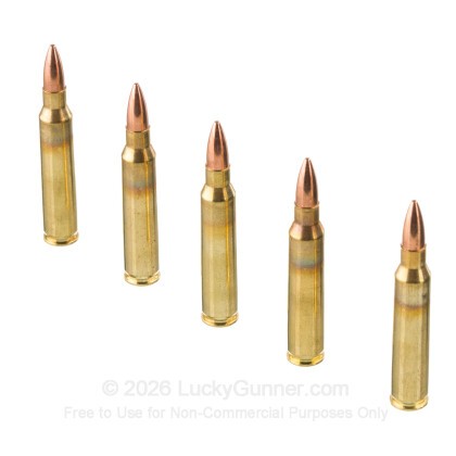 Image 3 of American Quality Ammunition 5.56x45mm Ammo