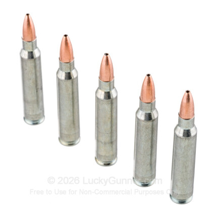 Image 5 of Silver Bear .223 Remington Ammo