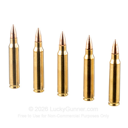 Image 4 of Federal .223 Remington Ammo