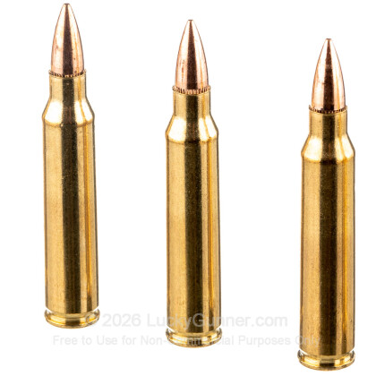 Image 5 of Federal .223 Remington Ammo