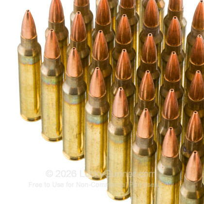 Image 5 of Grizzly Ammo 5.56x45mm Ammo