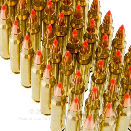 Large image of Cheap 223 Rem Ammo For Sale - 40 Grain V-Max Ammunition in Stock by Black Hills Remanufactured - 50 Rounds