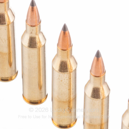 Image 5 of Winchester .243 Winchester Ammo