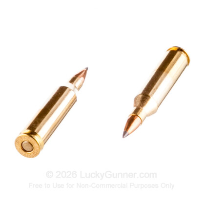 Image 6 of Winchester .243 Winchester Ammo