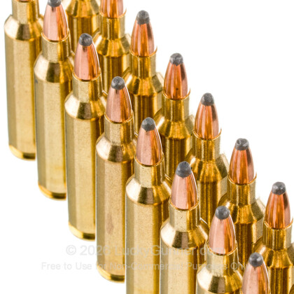 Image 5 of Winchester .22-250 Remington Ammo