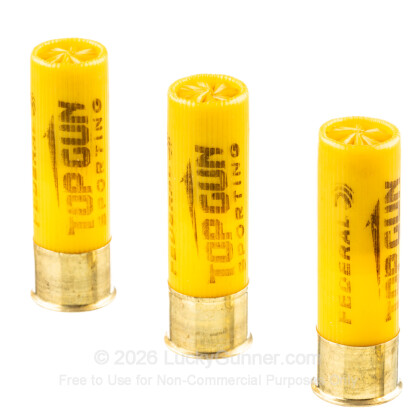 Image 5 of Federal 20 Gauge Ammo