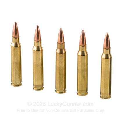 Image 4 of Federal .223 Remington Ammo