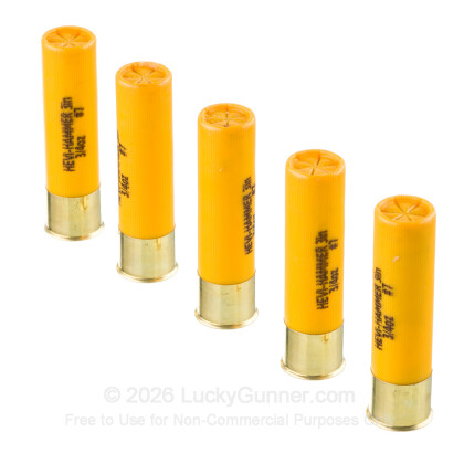 Image 4 of 20 Gauge Ammo Shells from Hevi-Shot Image 4 of Hevi-Shot 20 Gauge Ammo
