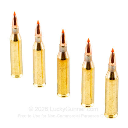 Large image of Premium 243 Win Ammo For Sale - 87 Grain V-Max Ammunition in Stock by Australian Outback - 20 Rounds