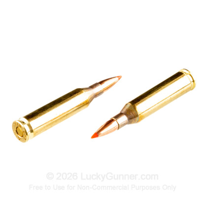 Large image of Premium 243 Win Ammo For Sale - 87 Grain V-Max Ammunition in Stock by Australian Outback - 20 Rounds