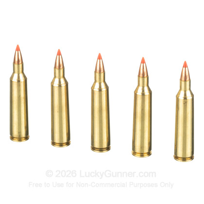 Large image of Premium 22-250 Ammo For Sale - 40 Grain V-MAX Ammunition in Stock by Federal Varmint & Predator - 20 Rounds
