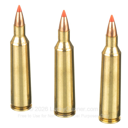 Large image of Premium 22-250 Ammo For Sale - 40 Grain V-MAX Ammunition in Stock by Federal Varmint & Predator - 20 Rounds