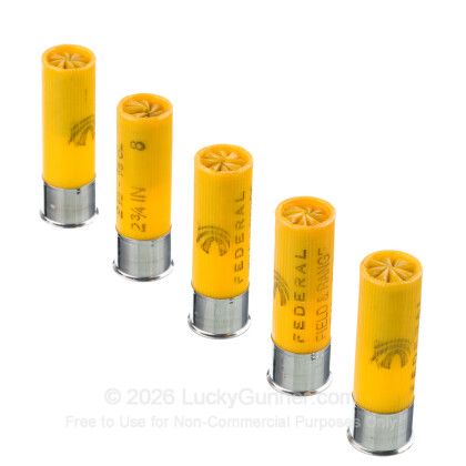 Image 4 of Federal 20 Gauge Ammo