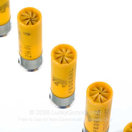Image 5 of Federal 20 Gauge Ammo