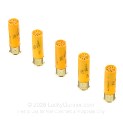 Image 4 of Federal 20 Gauge Ammo