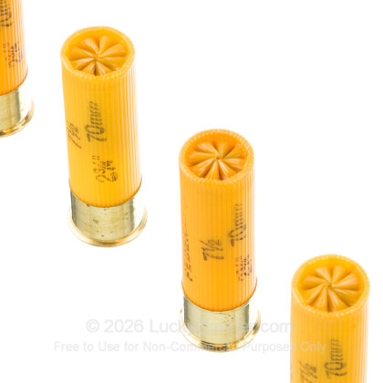 Image 5 of Federal 20 Gauge Ammo