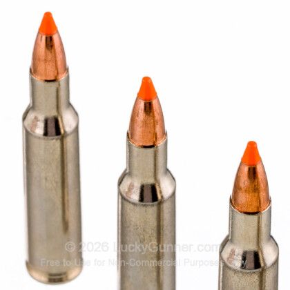 Large image of 222 Rem Premium Varmint Ammo For Sale - 50 gr Nosler Ballistic Tip - Federal Premium Ammo Online