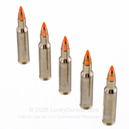 Large image of 222 Rem Premium Varmint Ammo For Sale - 50 gr Nosler Ballistic Tip - Federal Premium Ammo Online