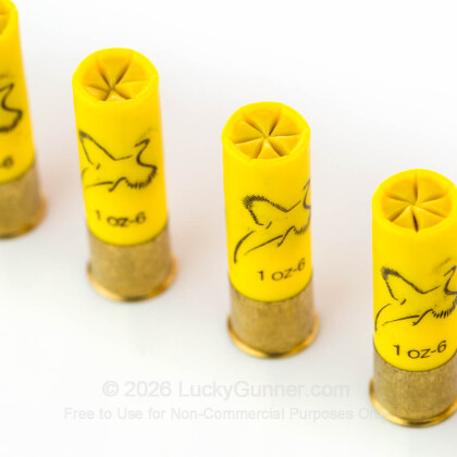 Image 5 of Winchester 20 Gauge Ammo