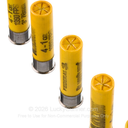 Image 5 of Federal 20 Gauge Ammo