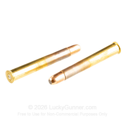 Large image of Premium 450 Nitro Express Ammo For Sale - 480 Grain DGX Bonded Ammunition in Stock by Hornady Dangerous Game  - 20 Rounds