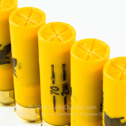 Large image of Cheap 20 ga Buckshot Ammo For Sale - 2-3/4" #1 Buck Ammunition by Spartan - 25 Shells