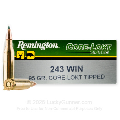 Image 1 of Remington .243 Winchester Ammo