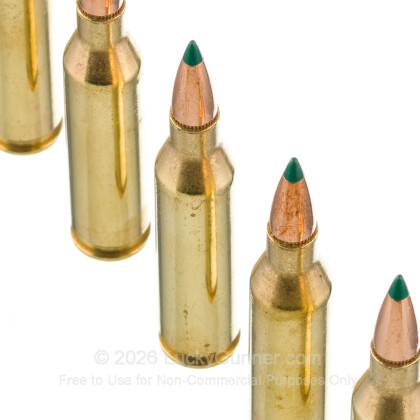 Image 5 of Remington .243 Winchester Ammo