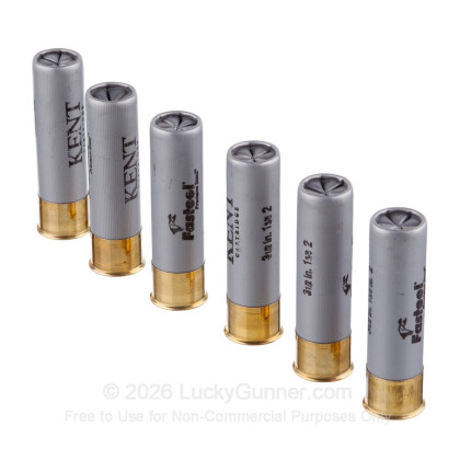 Large image of Cheap 12 Gauge Ammo For Sale - 3-1/2" 1-3/8 oz. #2 Steel Shot Ammunition in Stock by Kent Fasteel - 25 Rounds