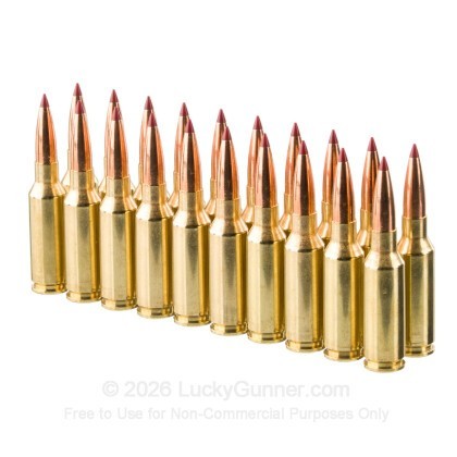 Large image of Hornady Custom 6mm ARC Ammo For Sale - 90 Grain CX - 20 Rounds