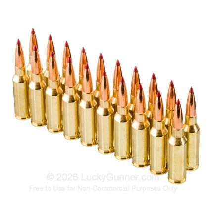 Large image of Hornady Custom 6mm ARC Ammo For Sale - 90 Grain CX - 20 Rounds