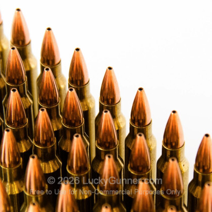 Large image of Cheap 223 Rem Ammo For Sale - 52 Grain HP Remanufactured Ammunition in Stock by Black Hills - 50 Rounds