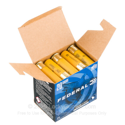 Image 3 of Federal 20 Gauge Ammo