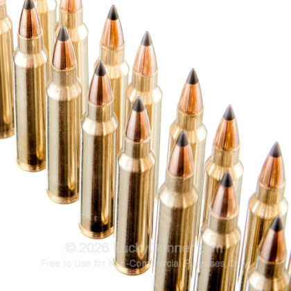 Image 5 of Winchester .223 Remington Ammo