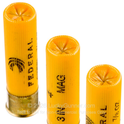 Large image of Cheap 20 Gauge Ammo For Sale - 3" 7/8 oz. #4 Steel Shot Ammunition in Stock by Federal Speed-Shok - 25 Rounds