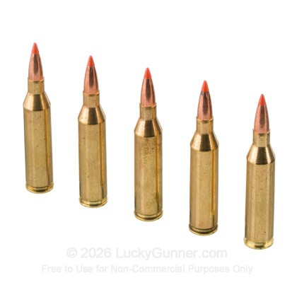 Large image of Federal Fusion Tipped 243 Ammo For Sale - 95 Grain Bonded Polymer Tip - 20 Rounds