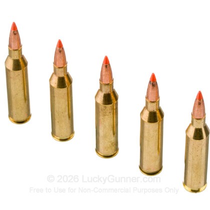 Large image of Federal Fusion Tipped 243 Ammo For Sale - 95 Grain Bonded Polymer Tip - 20 Rounds