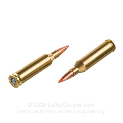 Large image of Federal Fusion Tipped 243 Ammo For Sale - 95 Grain Bonded Polymer Tip - 20 Rounds