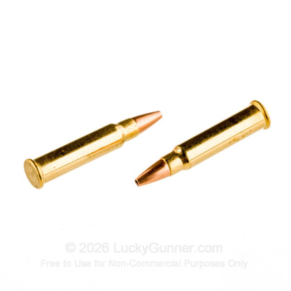 Image 6 of CCI .17 HMR Ammo