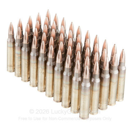 Large image of Premium 5.56x45 Ammo For Sale - 69 Grain Open Tip Match Ammunition in Stock by Black Hills - 50 Rounds
