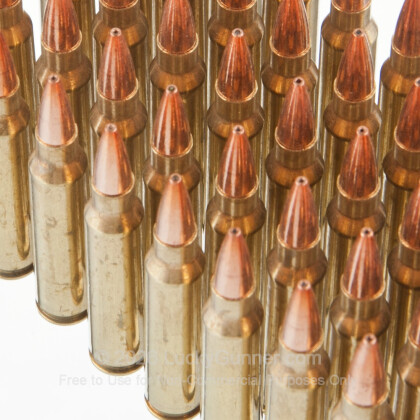 Large image of Premium 223 Rem Ammo For Sale - 62 Grain Barnes TSX Ammunition in Stock by Black Hills - 50 Rounds