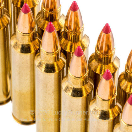 Image 5 of Nosler Ammunition .204 Ruger Ammo