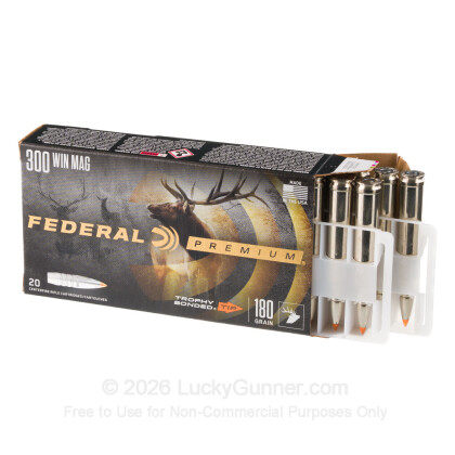 Image 6 of Federal .300 Winchester Magnum Ammo