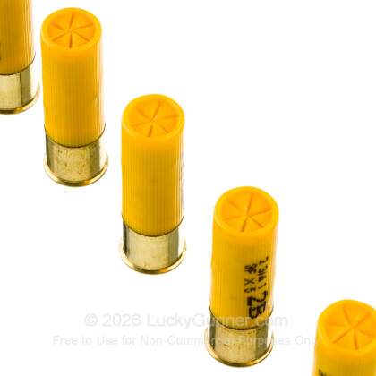 Image 5 of Aguila 20 Gauge Ammo